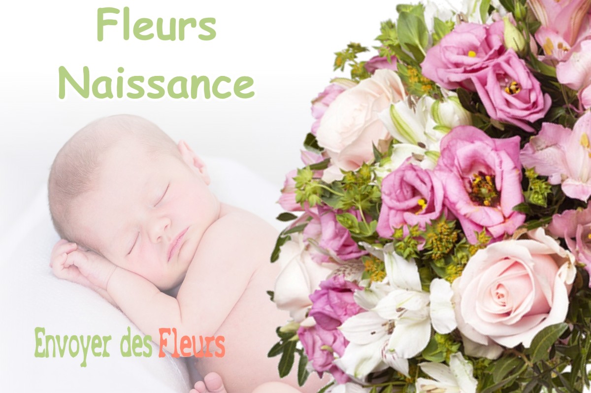 lIVRAISON FLEURS NAISSANCE à SARROGNA